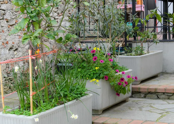Rustico Alle Mura & Bike Apartman Toirano